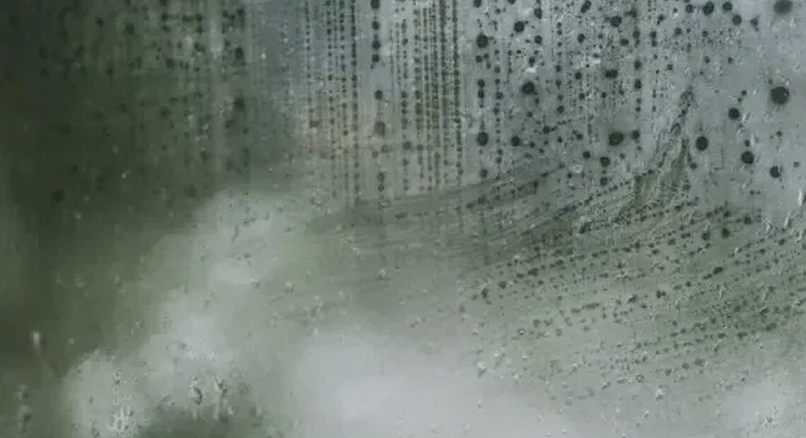 Caravan Damp Check Guide: Pre-Season Prep
