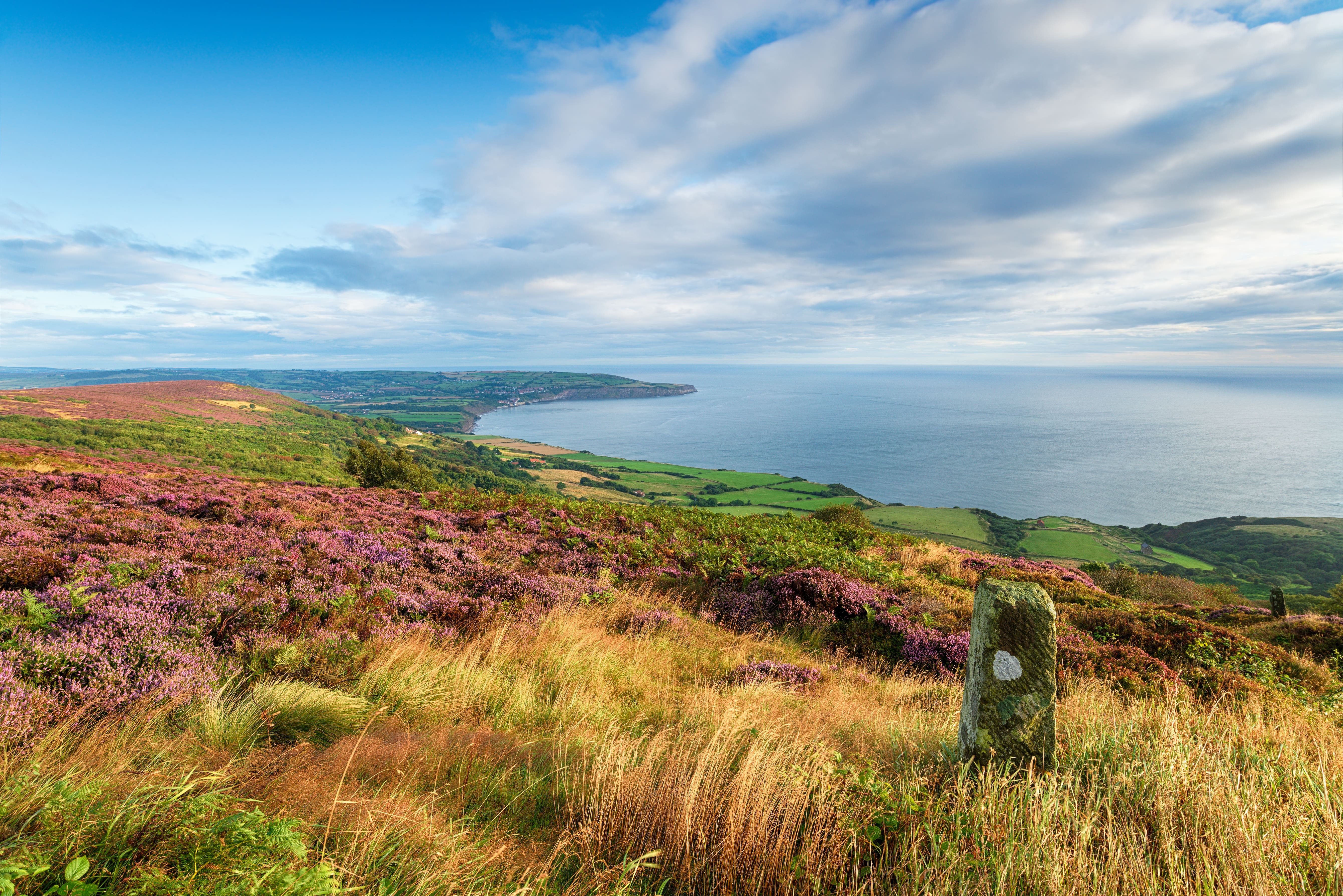 North York Moors